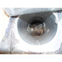 Birds made a cozy nest in this dryer vent. Nest and debris block airflow which can lead to inefficient drying, mold growth, a dryer fire, and other issues.
